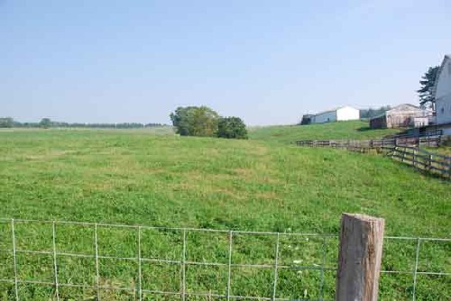 Image of pasture in Cross Creek Township, Washington County