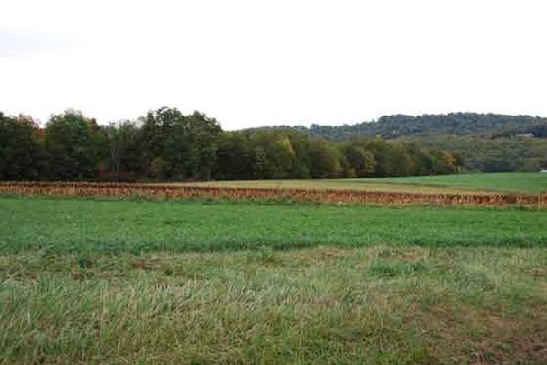 Image of a crop field in Hopewell Township Washington County