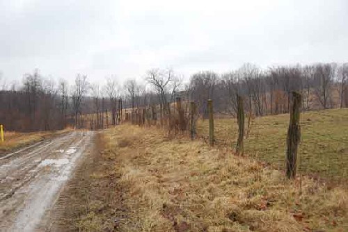 Image of a farm lane in Monongahela Township, Greene County