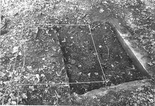 A privy visible from the ground surface