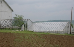 Greenhouse, Butler County