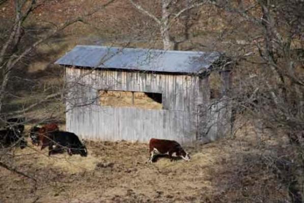 Greene County Hay Barn