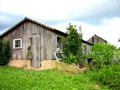 Image of a hog house from Columbia County