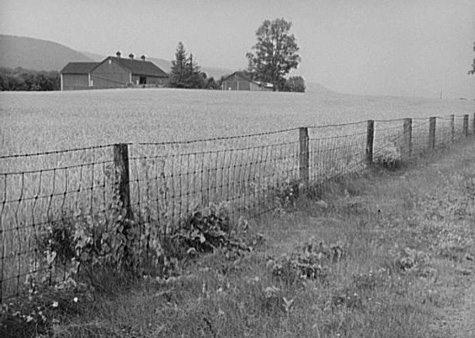Woven wire fence with a single strand of barbed wire, Centre County, 1941