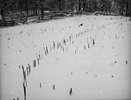 Sticks placed in palisade postholes covered by snow at Troutman