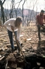 Excavating at the Martz Rock Shelter in 1994.