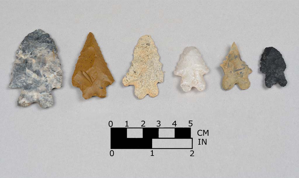 Photo: Section of Archaeology Collections