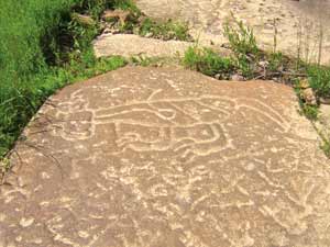 Parkers Landing petroglyphs