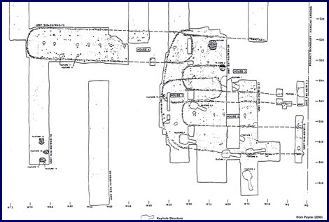 Image: Section of Archaeology collections