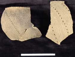 Photo: Section of Archaeology collections