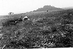 Excavating at Fort Hill