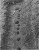 Large and small palisade postholes at Fort Hill 