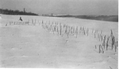Palisade line with sticks in posts during winter 