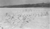 Excavated house with sticks in posts during winter