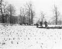 Winter excavations at Troutman