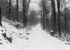 Road to Troutman in winter