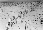 Sticks placed in palisade postholes covered by snow at Troutman