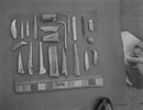Bone tools and ornaments recovered from Troutman 
