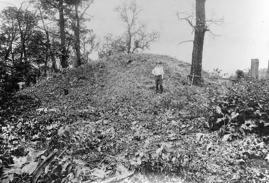 McKees Rock Indian Mound