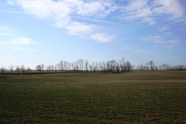 Treeline, Franklin County, age unknown