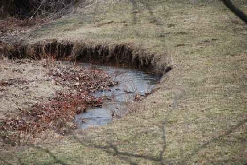 Farm stream in Greene County