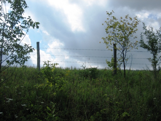 Barbed wire, Centre County, c. 1940