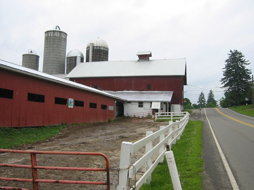 Barn with cow shed addition, Shesesquin Township, Bradford County, c. 1960