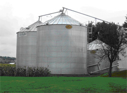 Grain Bin