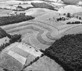 Landscape Elements