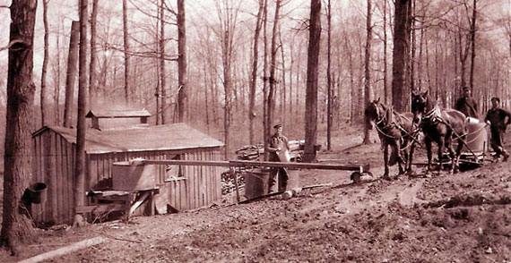 Maple sugar house near Monroe, Ohio, c. 1920.