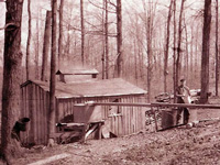 Maple Sugar House