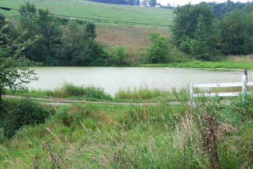 Image of a farm pond in Mount Pleasant Township, Washington County