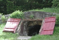 Root Cellar