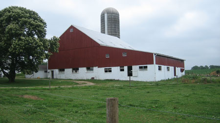 Barn with lower level windows for dairy cows, Chester County.