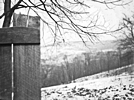 Winter at Gower