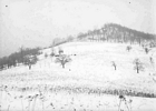 Winter at Gower