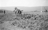 Excavating at Emerick