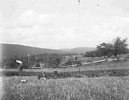 Excavating at Emerick