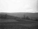 Excavating at Emerick