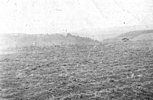 Emerick site area