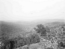 Emerick site area