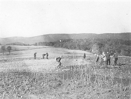 WPA field crew excavating at the Emerick site.
