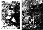 1938 WPA excavations on left and 1994 recreation on right
