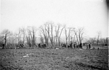 Visitors view excavations at Peck 2