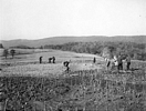 Excavating at Emerick