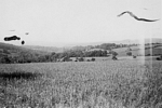 Emerick site area