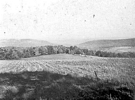 Emerick site area