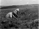 Excavating at Fort Hill