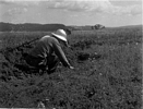 Excavating at Fort Hill