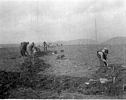 Excavating at Fort Hill